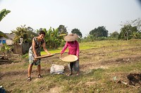 IMG_36741