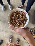 IMG_5638