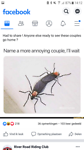 Lovebugs