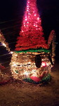 Xmas bij Montgomery zoo