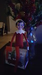 Alfie has arrived #elfontheshelf