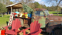 Xmas bij Sweetcreek Farm