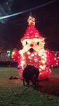 Xmas bij Montgomery zoo
