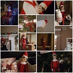 Onze elf on the shelf, Alfie, een ware traditie in Amerika