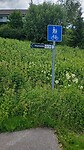 IMG-20250627-WA0000