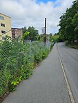 20250626_090121