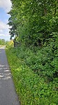 IMG-20250626-WA0002