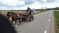 Man en paard
