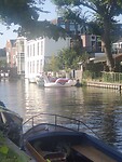 Eenhoorn te water.