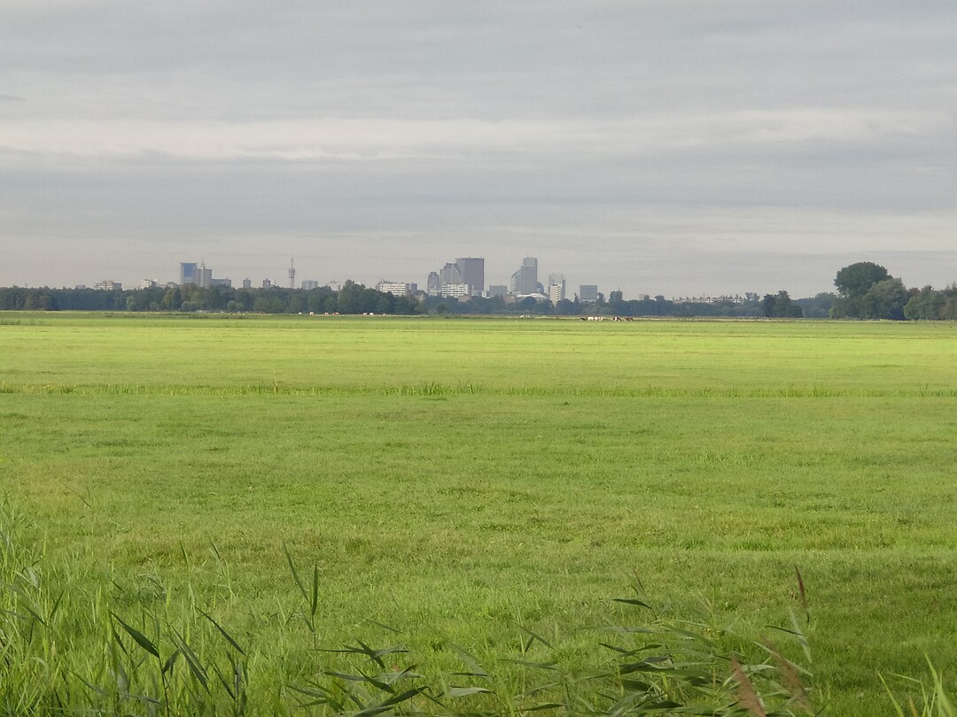 Zicht op Den Haag