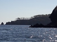 20180710_094644