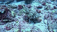 GX010398_ALTA206107335047068848~2