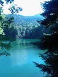 Meer in Biogradska np Montenegro