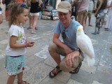 Vogels temmen in Dubrovnik