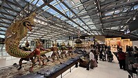 Bangkok airport