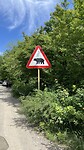 Beesten onderweg