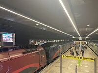 IMG_3155