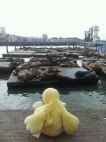 Duckie bij Pier 39