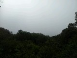 ons uitzicht op zee, reisdag 1 over highway 1......cool....mist....