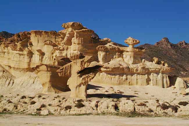 bolnuevo