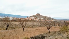 Bij Calahorra de Sierra ingereden