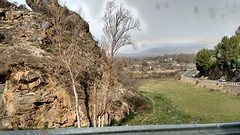 Regenboog