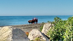 Wat er hier op het strand zoal voorbij komt....2