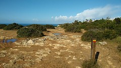 start van de wandelroute met hier en daar nog wat regenplassen van gisterenavond