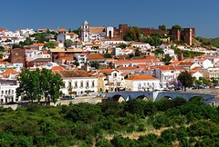 silves