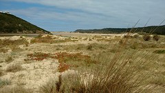 Ochtendwandeling Praia Amoreira 3
