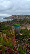 Rota Vicentina