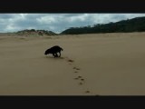 blije blues, praia Amoreira