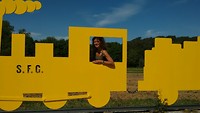 Borrie in de trein 1