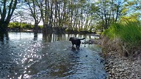 rivier bij de camping in Autun