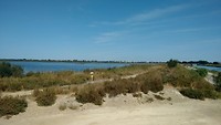 Fietstocht door le petite Camargue