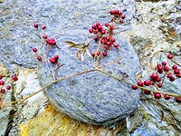 IMG_20190215_122202605