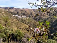 IMG_20190216_104200993