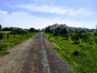 IMG_20200208_130116055_HDR