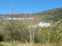 IMG_20200216_163544162