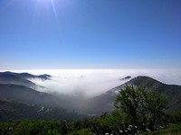 IMG_20200216_113511410