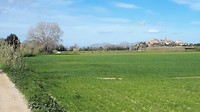 IMG-20200308-WA0001