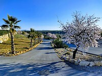 IMG_20220209_172433896_HDR