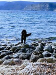 IMG_20220213_141522745