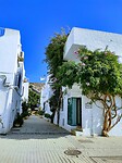 IMG_20220213_134322015_HDR