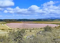 IMG_20220213_110907066_HDR