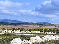 IMG_20220213_110737519