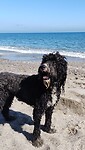 IMG_20220218_132030221