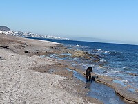 IMG_20220217_155303360