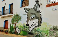 IMG_20220306_114502638_HDR