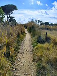IMG_20220310_161417216_HDR